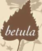 Betula