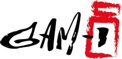 Gam-I