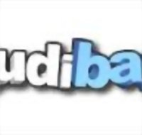 Ludibay