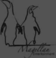 Magellan