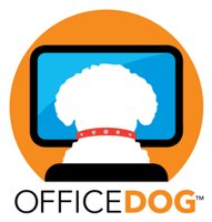 Office Dog