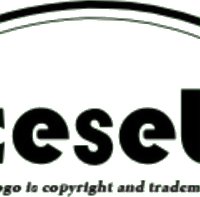Pacesetter limited of wisconsin