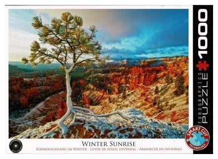 Puzzle - Winter Sunrise - 1000 Pièces