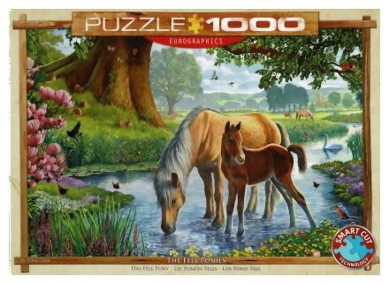 Puzzle - Les Poneys Fells - 1000 Pièces