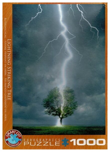 Puzzle - Lightning Striking Tree - 1000 Pièces