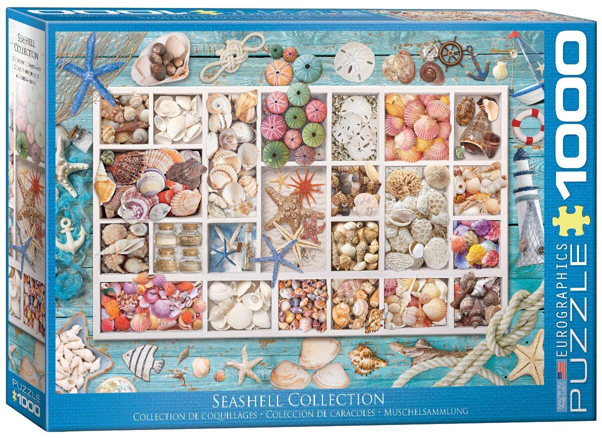 Puzzle - Collection de Coquillages - 1000 pièces