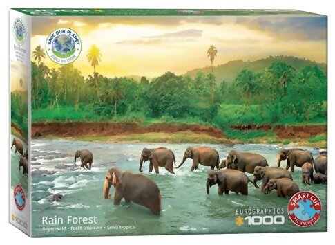 Puzzle - Forêt Tropicale - 1000 Pièces