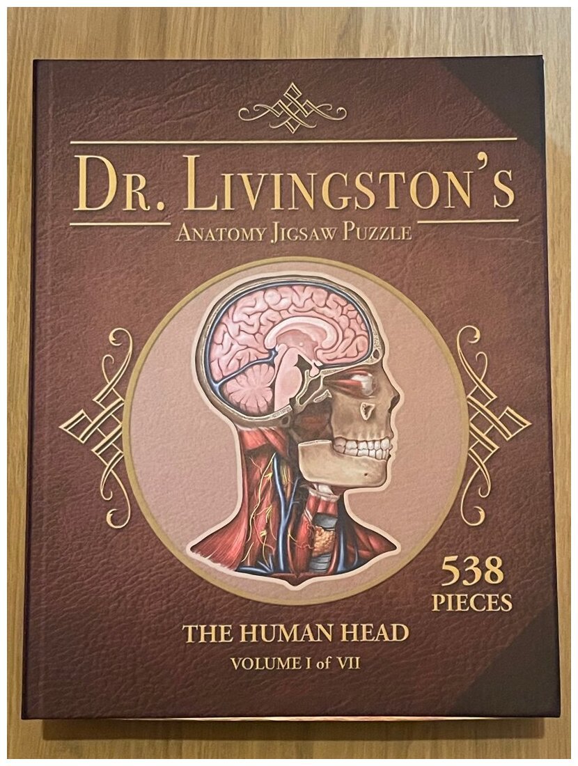Dr Livingston's - The Human Head