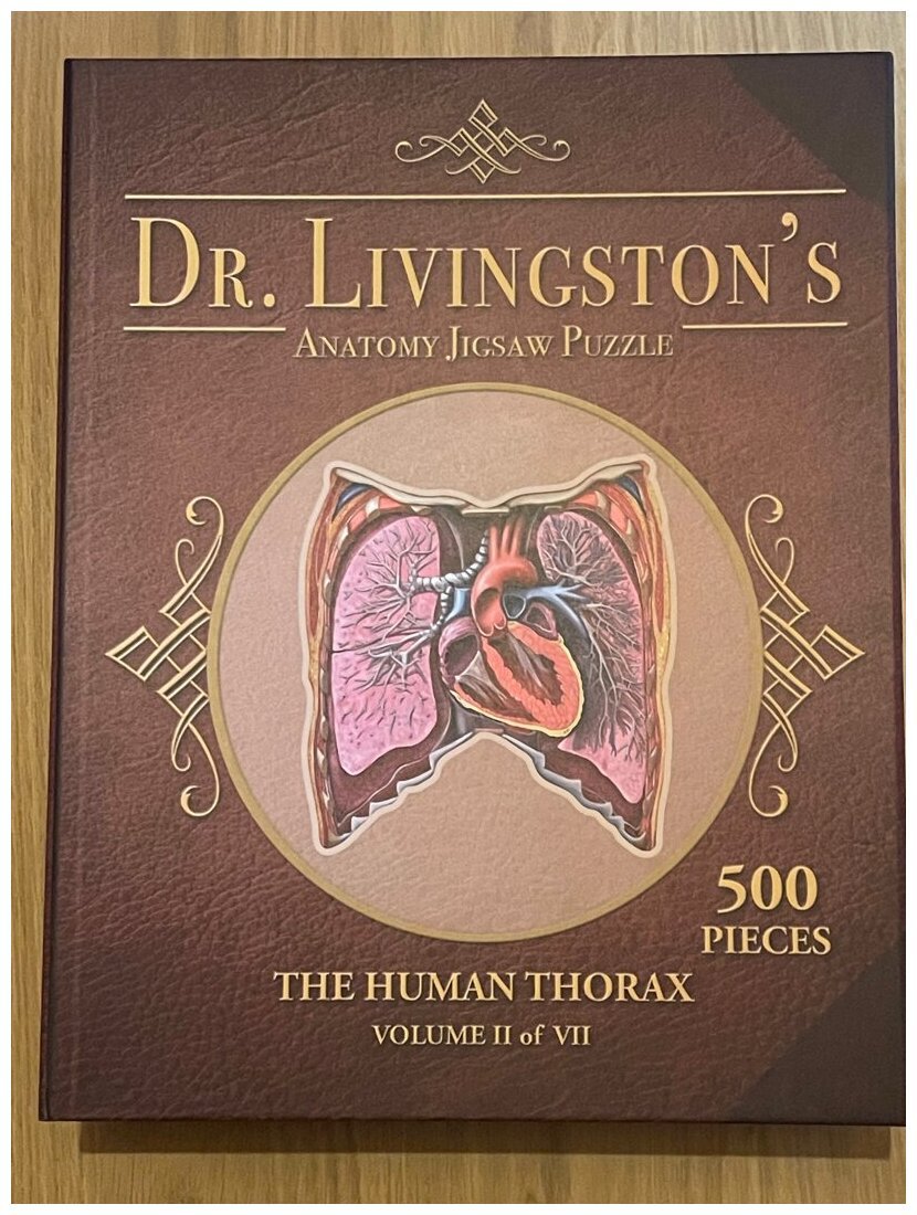 Dr Livingston's - The Human Thorax