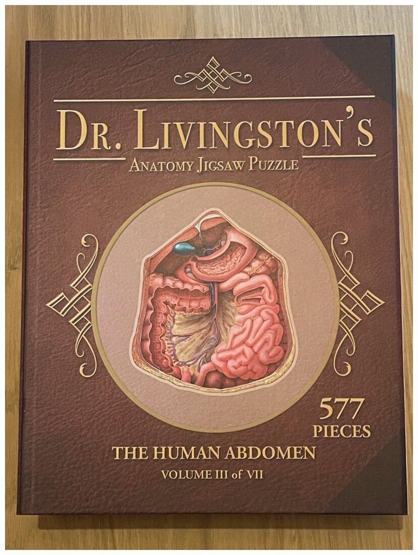 Dr Livingston's - The Human Abdomen