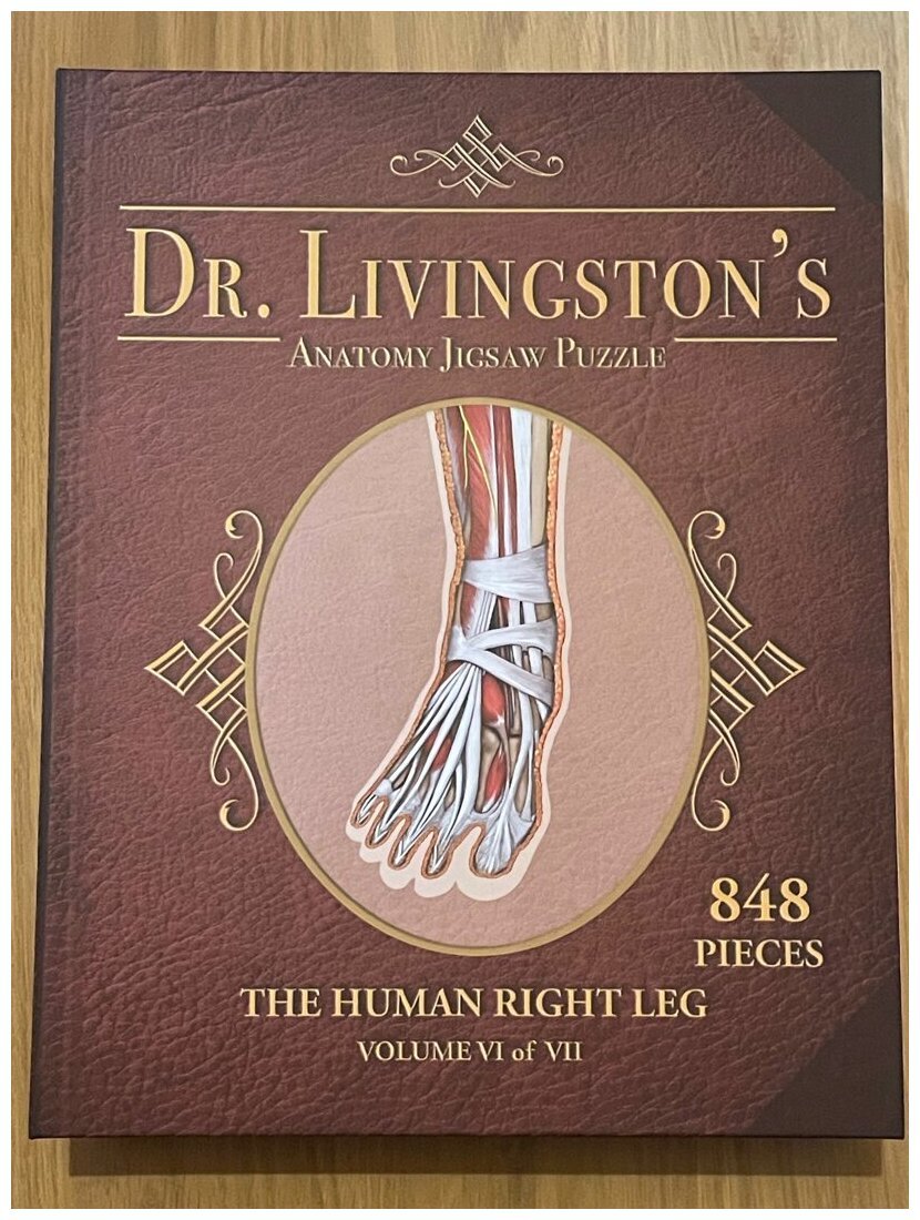 Dr Livingston's - The Human Right Leg