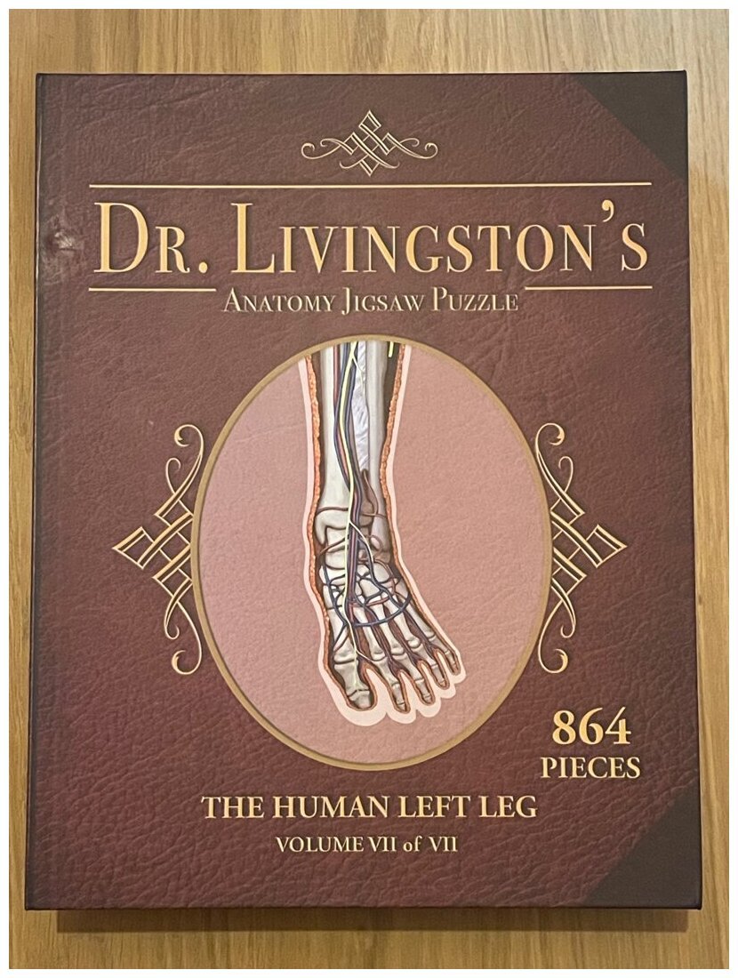 Dr Livingston's - The Human Left Leg
