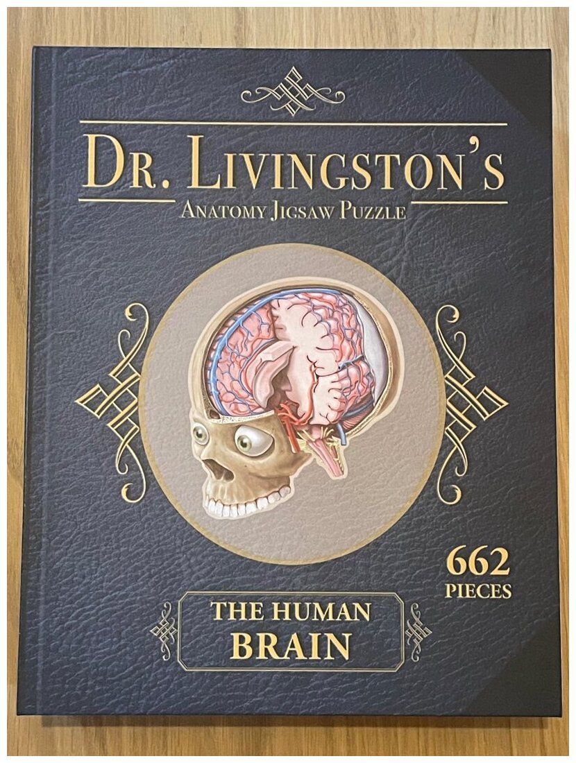 Dr Livingston's - The Human Brain