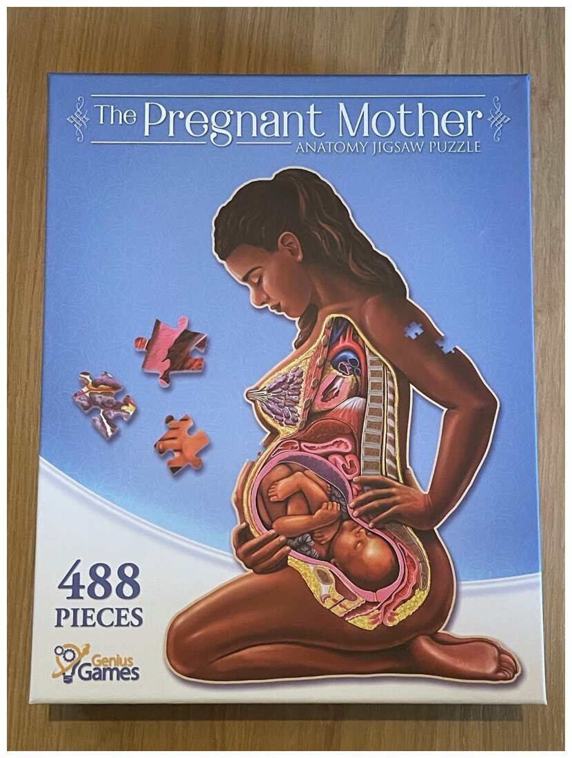 The Pregnant Mother