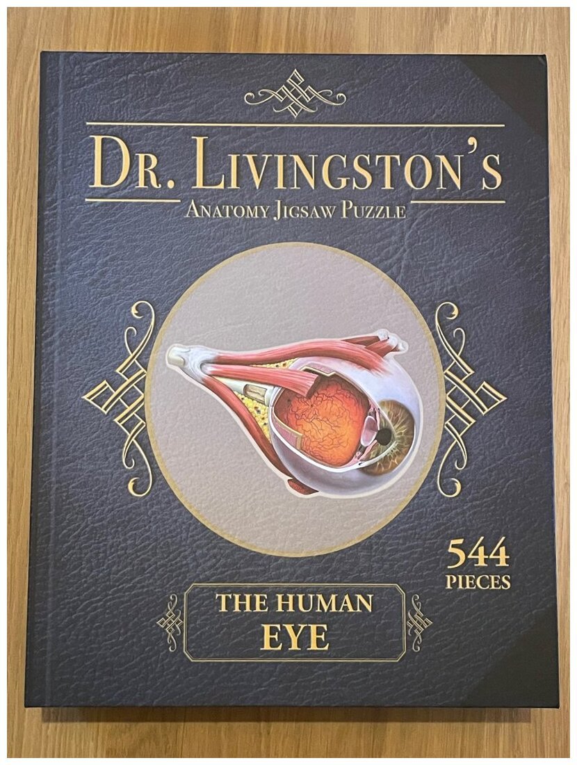 Dr Livingston's - The Human Eye