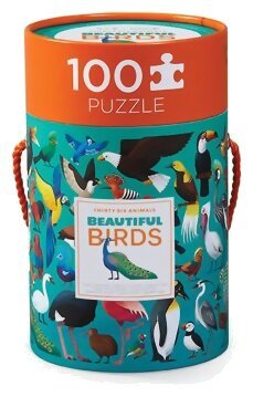 Beautiful Birds
