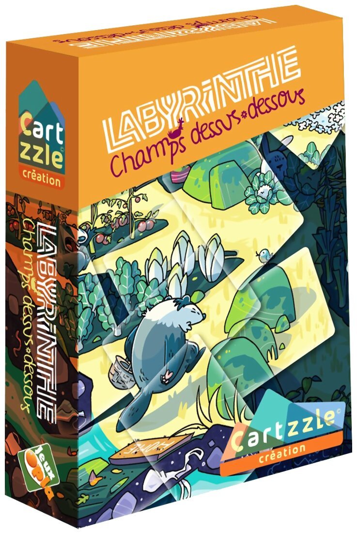 Cartzzle - Labyrinthe Champs dessus-dessous