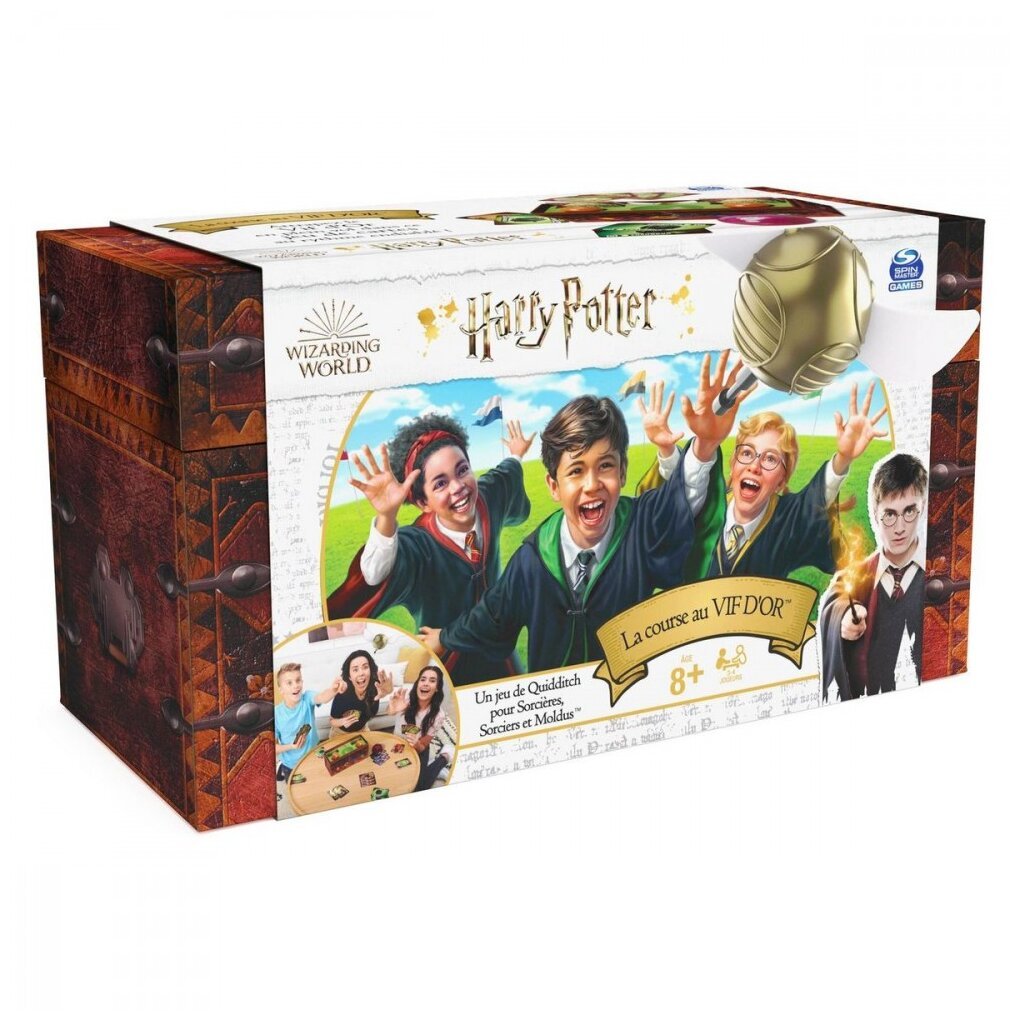 Harry Potter : La course au vif d'or