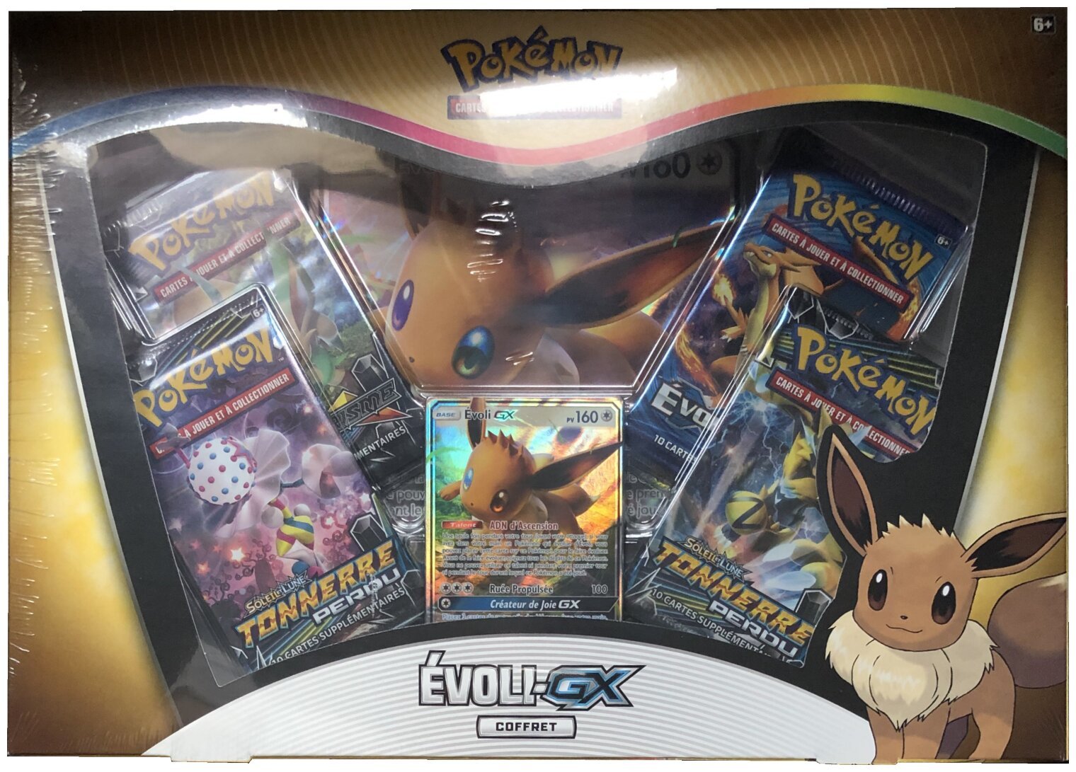 Pokémon JCC - Coffret - Évoli-GX