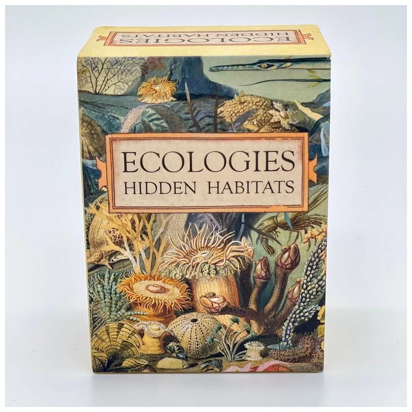 Ecologies - Hidden Habitats