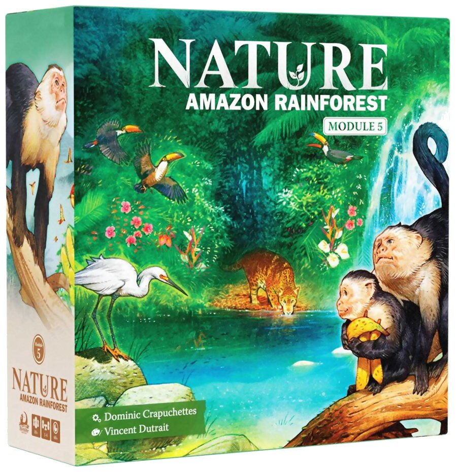 Nature - Amazon Rainforest