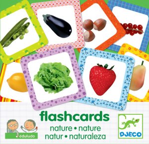 Flashcards - Nature