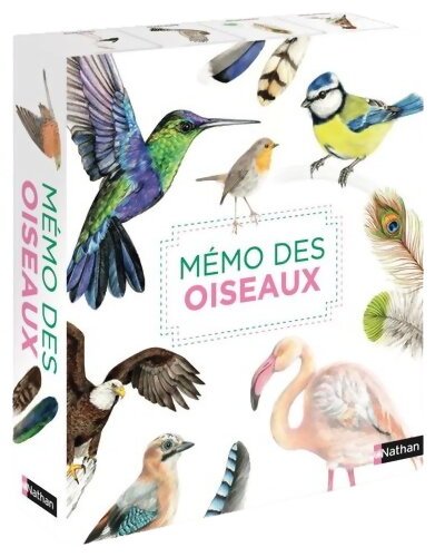 Mémo Des Oiseaux
