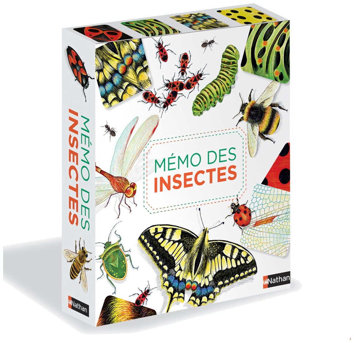 Mémo Des Insectes