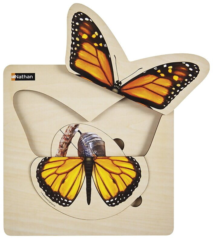 Puzzle - Cycle De Vie Du Papillon