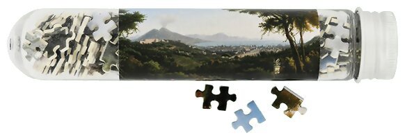 Micro puzzle - Alexandre Hyacinthe Dunouy, Vue de Naples depuis Capodimonte - 150 Pièces