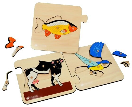 3 puzzles d'animaux vertébrés