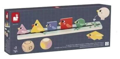 Tri Des Formes, Des Tailles Et Des Couleurs  Les Oiseaux