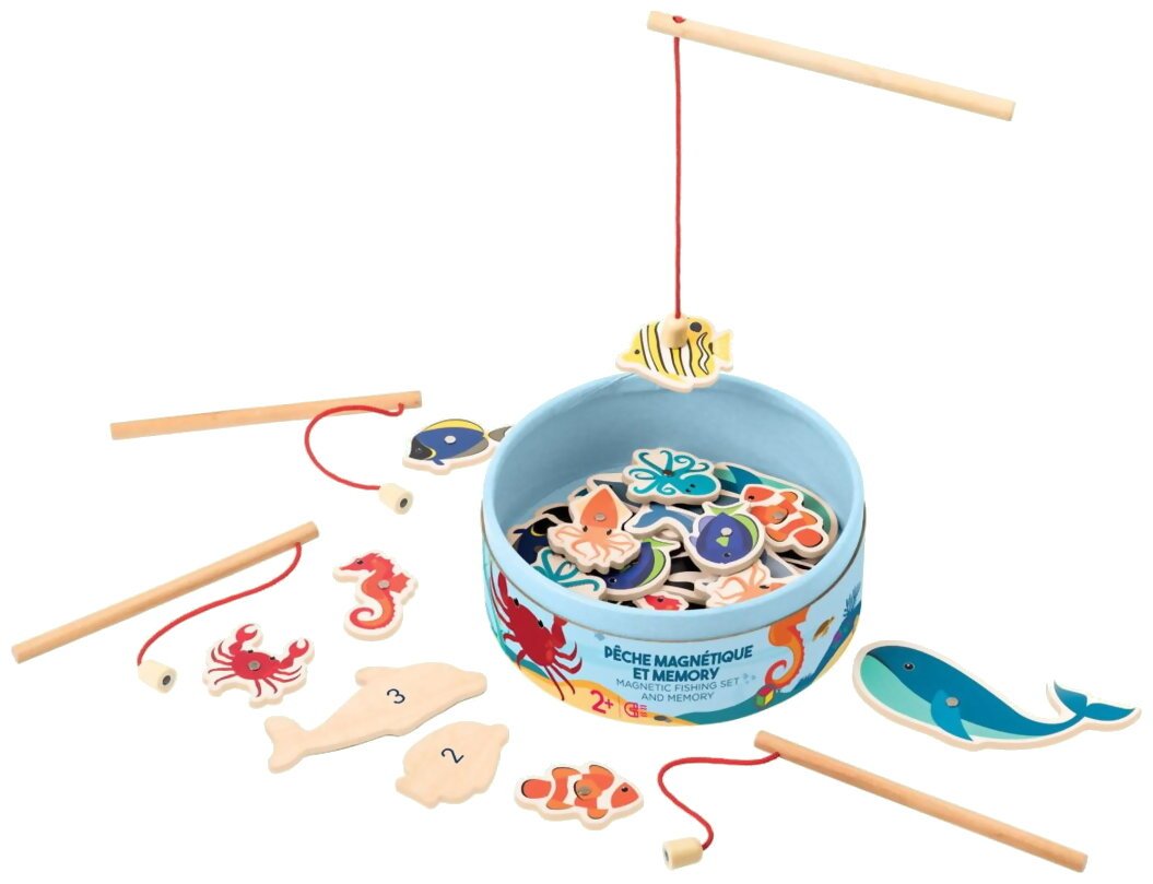 Pêche Magnétique Et Memory