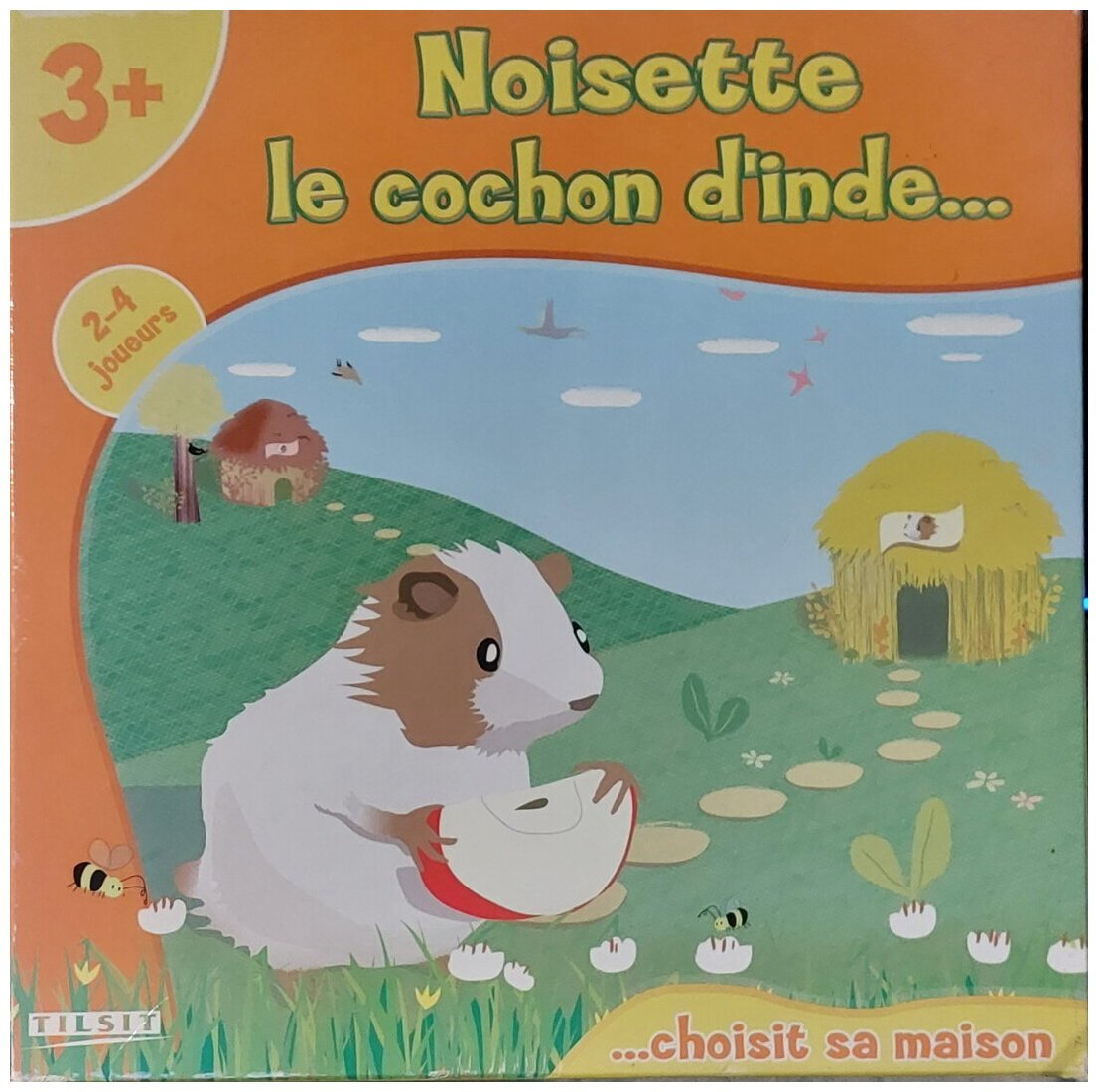 Noisette le cochon d'inde...