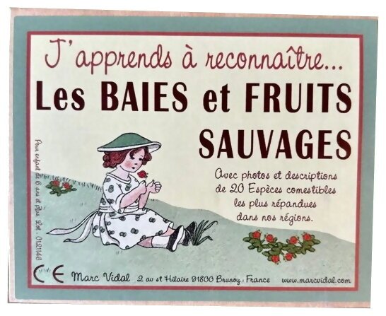 J'apprend À Reconnaître... Les Baies Et Fruits Sauvages