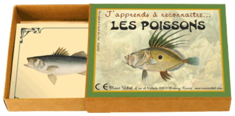 J'apprends À Reconnaître... Les Poissons