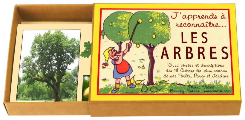 J'apprends À Reconnaître... Les Arbres