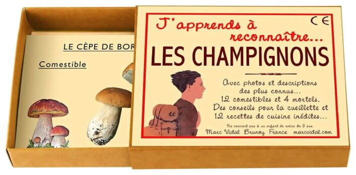 J'apprends A Reconnaître... Les Champignons