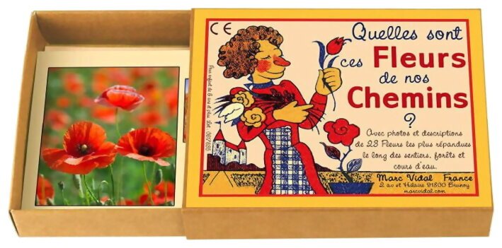 Quelles Sont Ces Fleurs De Nos Chemins ?