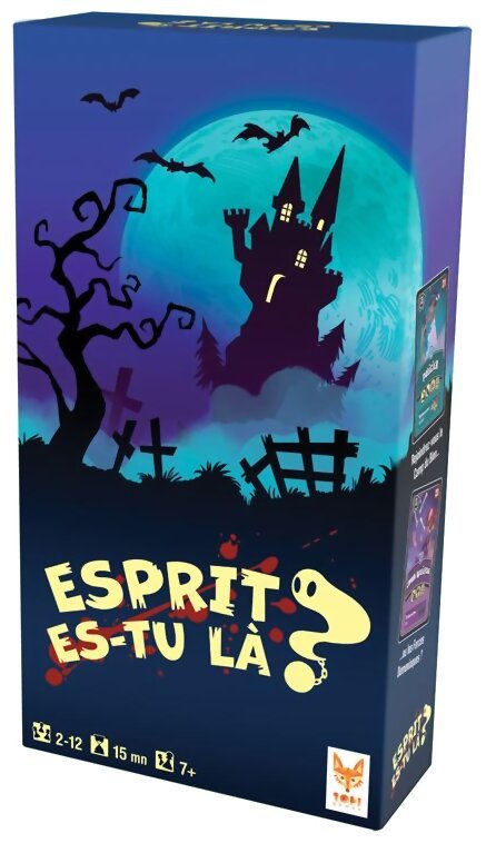Esprit, Es-Tu Là ?