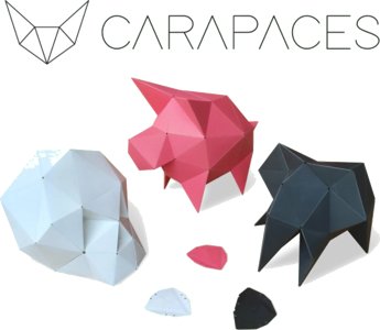 Carapaces By Doug - Anthracite
