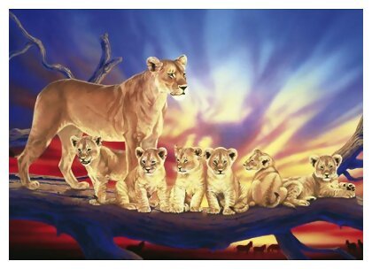 Naito - Famille de lions - 1000 Pièces