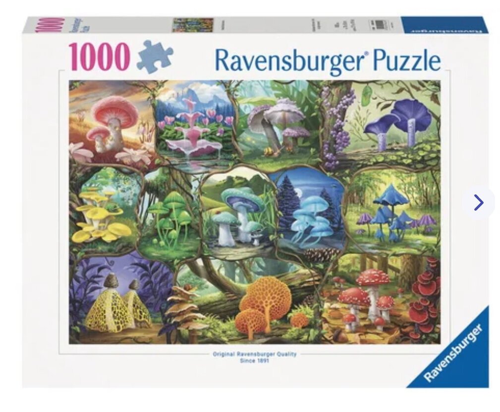 Puzzle - Magnifiques Champignons - 1000 Pièces