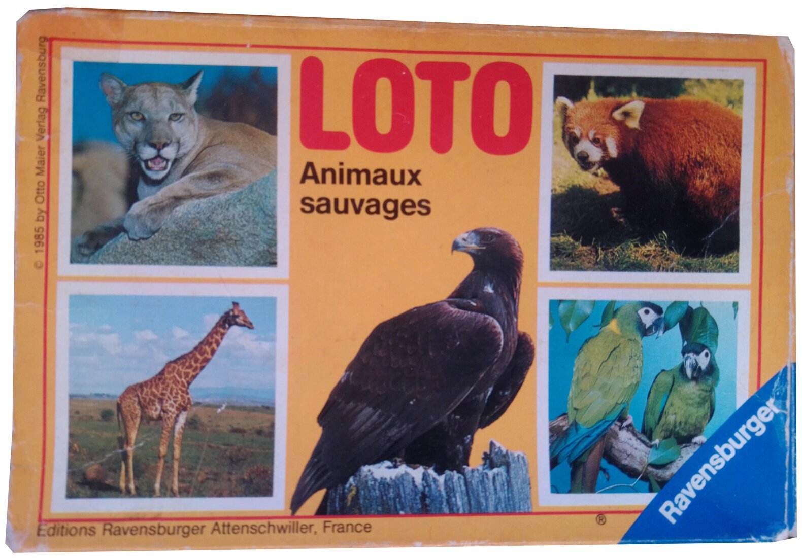 Loto - Animaux sauvages