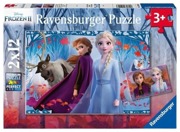Puzzle - Frozen II - Voyage Vers L'inconnu
