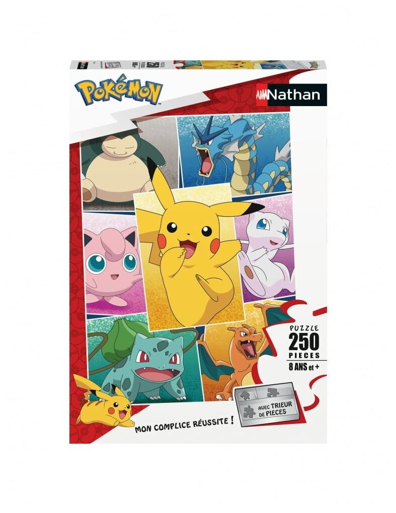 Puzzle - Types De Pokémon - 250 Pièces