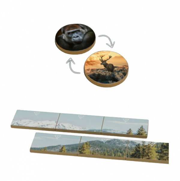 Earth : Règne Animal - KS Goodies