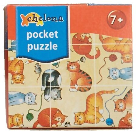 pocket puzzle