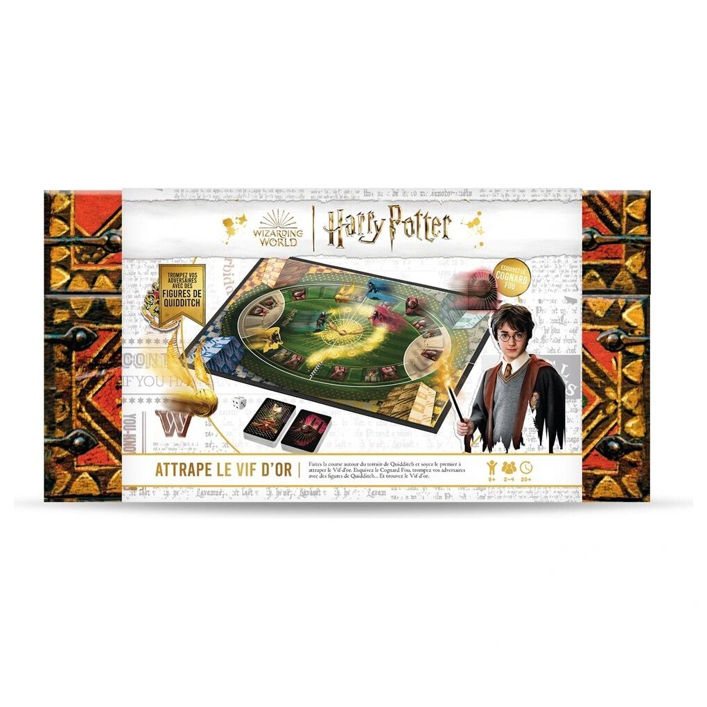 Harry Potter Attrape Le Vif D'or