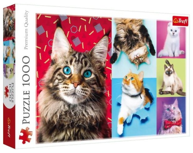 Puzzle - Chats Heureux - 1000 Pièces